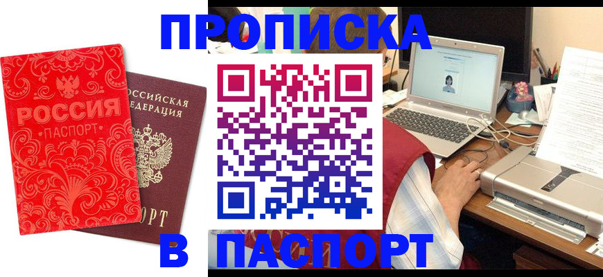 временная прописка в Щёлково